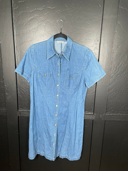 Denim Button Up Collared Dress